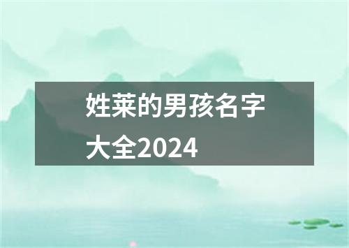 姓莱的男孩名字大全2024