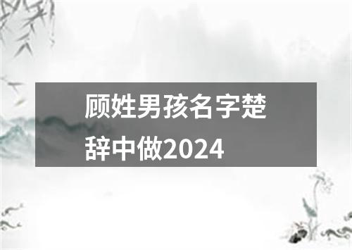 顾姓男孩名字楚辞中做2024