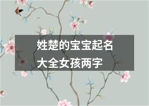 姓楚的宝宝起名大全女孩两字