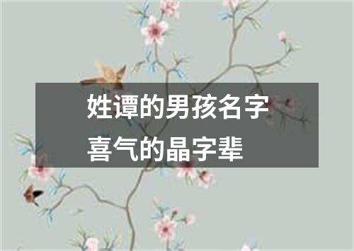 姓谭的男孩名字喜气的晶字辈