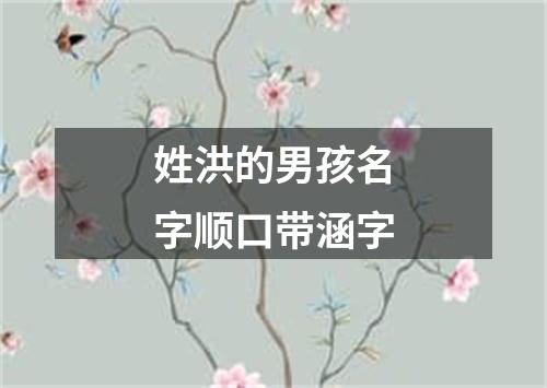 姓洪的男孩名字顺口带涵字