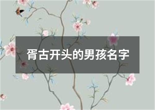 胥古开头的男孩名字