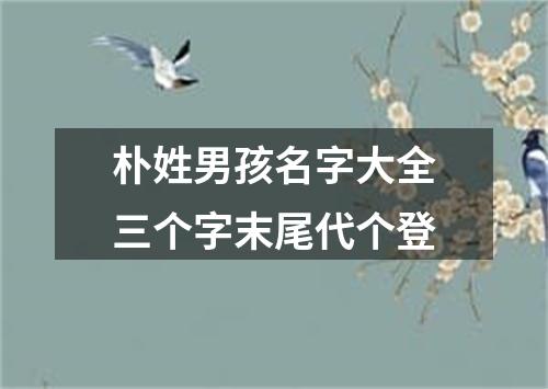 朴姓男孩名字大全三个字末尾代个登