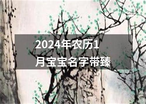 2024年农历1月宝宝名字带臻