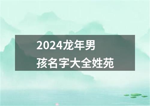 2024龙年男孩名字大全姓苑