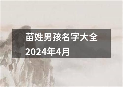 苗姓男孩名字大全2024年4月