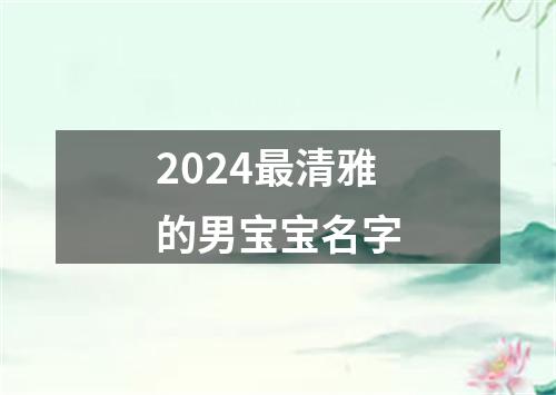 2024最清雅的男宝宝名字