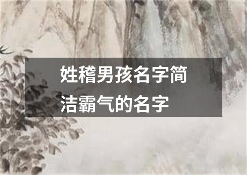 姓稽男孩名字简洁霸气的名字