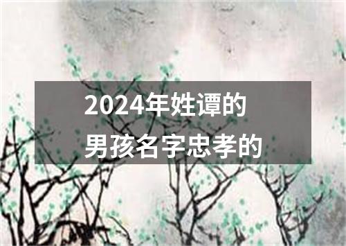 2024年姓谭的男孩名字忠孝的