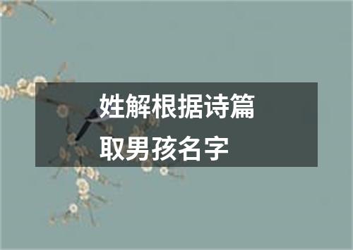 姓解根据诗篇取男孩名字