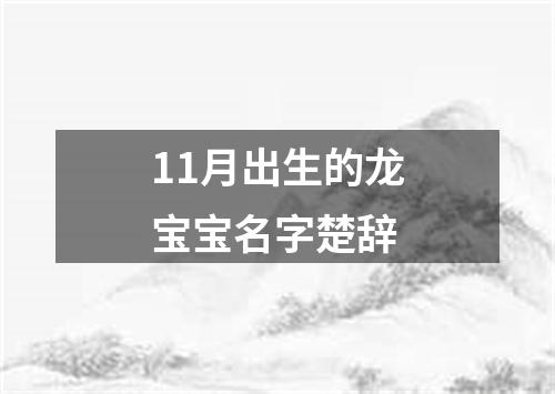 11月出生的龙宝宝名字楚辞