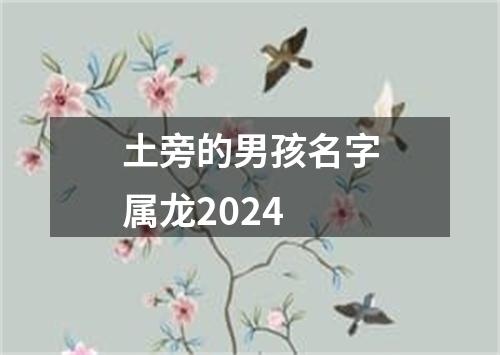 土旁的男孩名字属龙2024