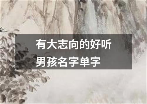 有大志向的好听男孩名字单字