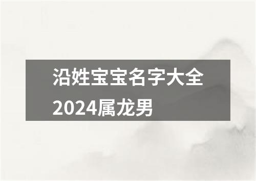 沿姓宝宝名字大全2024属龙男