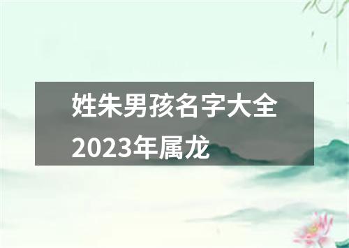 姓朱男孩名字大全2023年属龙