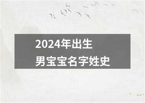 2024年出生男宝宝名字姓史