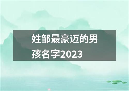 姓邹最豪迈的男孩名字2023