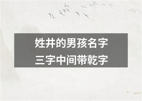 姓井的男孩名字三字中间带乾字