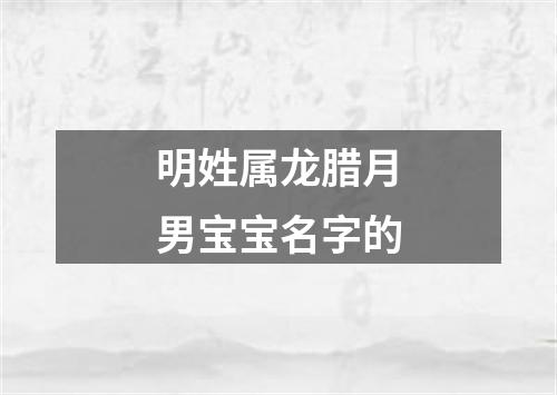 明姓属龙腊月男宝宝名字的