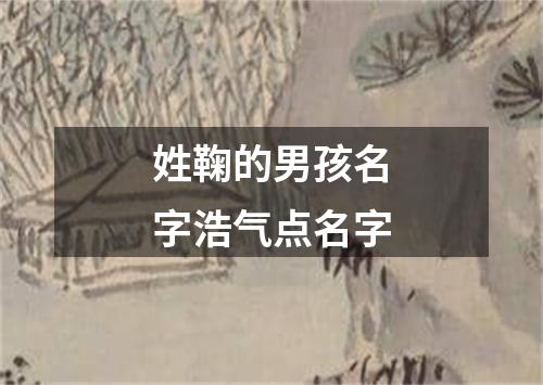 姓鞠的男孩名字浩气点名字