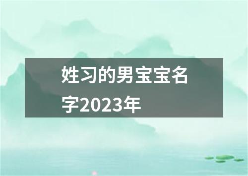 姓习的男宝宝名字2023年