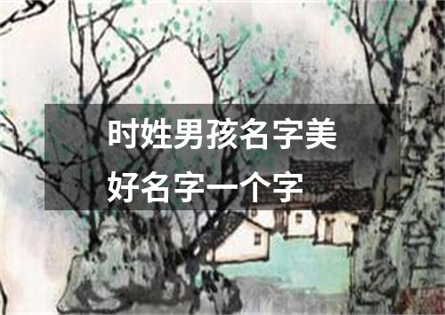 时姓男孩名字美好名字一个字