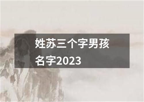 姓苏三个字男孩名字2023