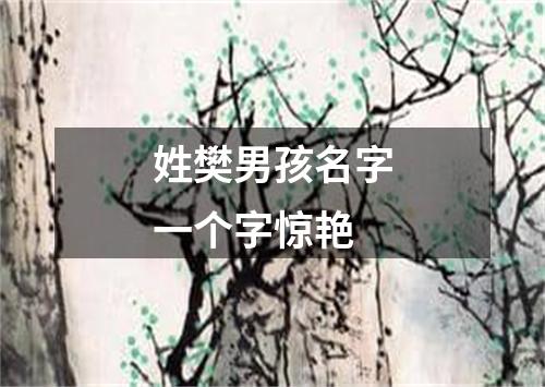 姓樊男孩名字一个字惊艳