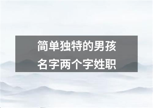 简单独特的男孩名字两个字姓职