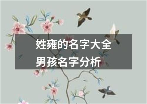 姓雍的名字大全男孩名字分析