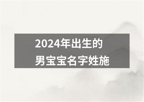 2024年出生的男宝宝名字姓施