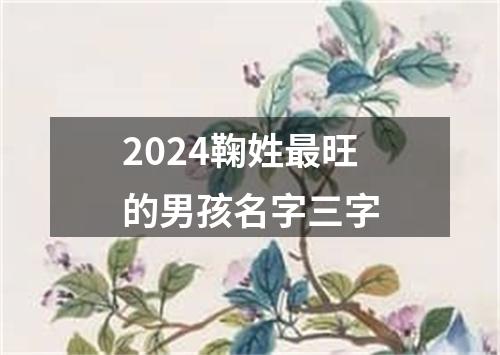 2024鞠姓最旺的男孩名字三字