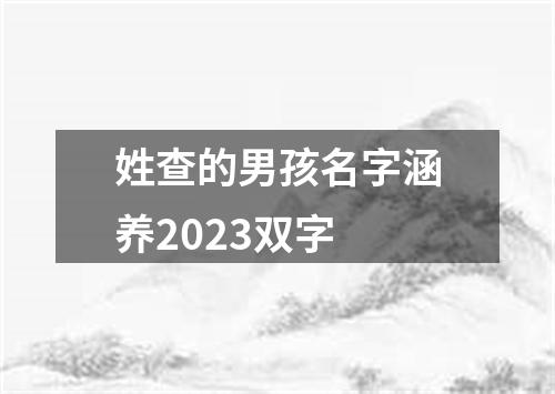 姓查的男孩名字涵养2023双字