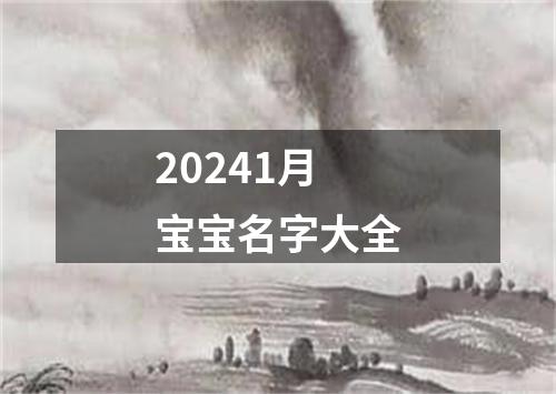 20241月宝宝名字大全