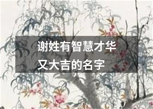 谢姓有智慧才华又大吉的名字