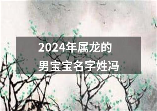 2024年属龙的男宝宝名字姓冯