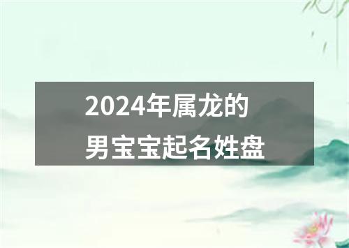 2024年属龙的男宝宝起名姓盘