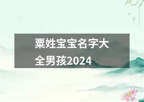 粟姓宝宝名字大全男孩2024