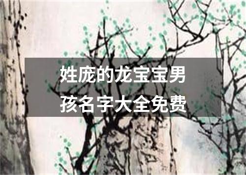 姓庞的龙宝宝男孩名字大全免费