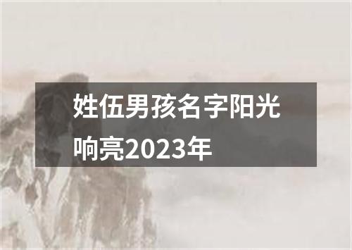 姓伍男孩名字阳光响亮2023年