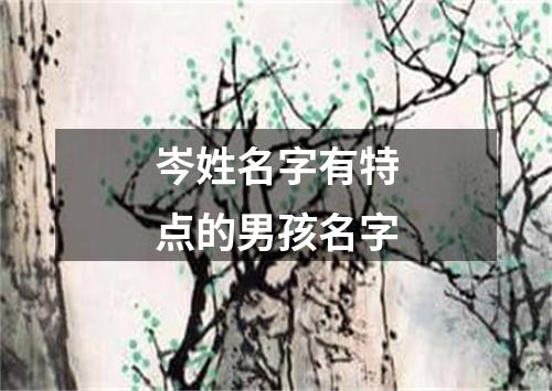 岑姓名字有特点的男孩名字