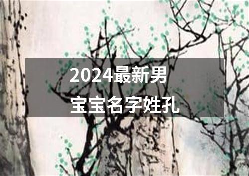 2024最新男宝宝名字姓孔