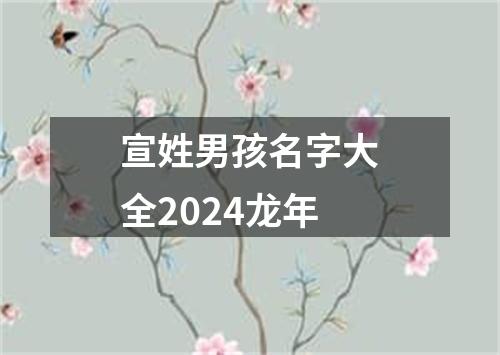 宣姓男孩名字大全2024龙年