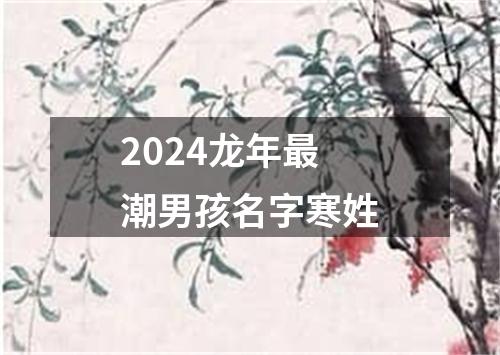 2024龙年最潮男孩名字寒姓