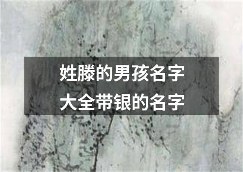 姓滕的男孩名字大全带银的名字