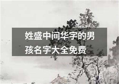 姓盛中间华字的男孩名字大全免费