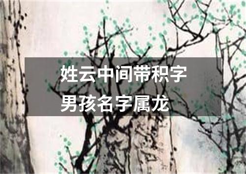 姓云中间带积字男孩名字属龙