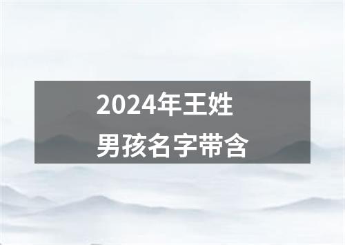 2024年王姓男孩名字带含