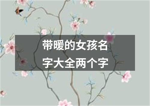 带暖的女孩名字大全两个字