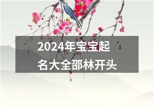 2024年宝宝起名大全邵林开头